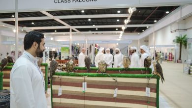 معرض "الأصايل 2023"