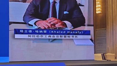 الدكتور خالد حنفي