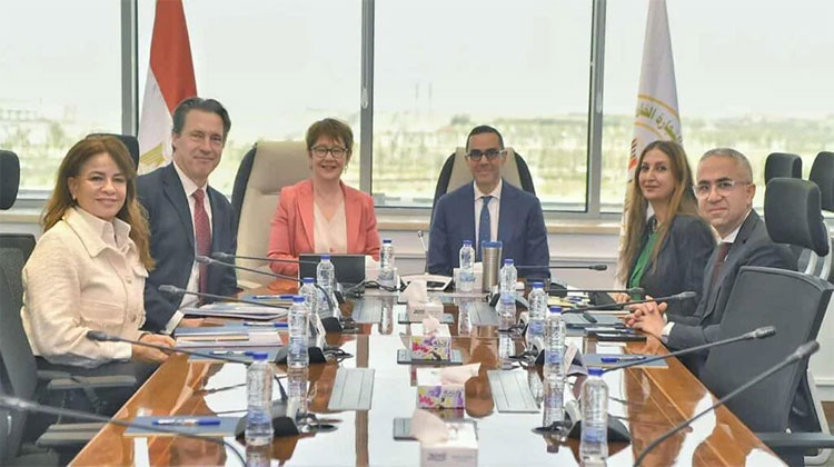 وزير الاستثمار
