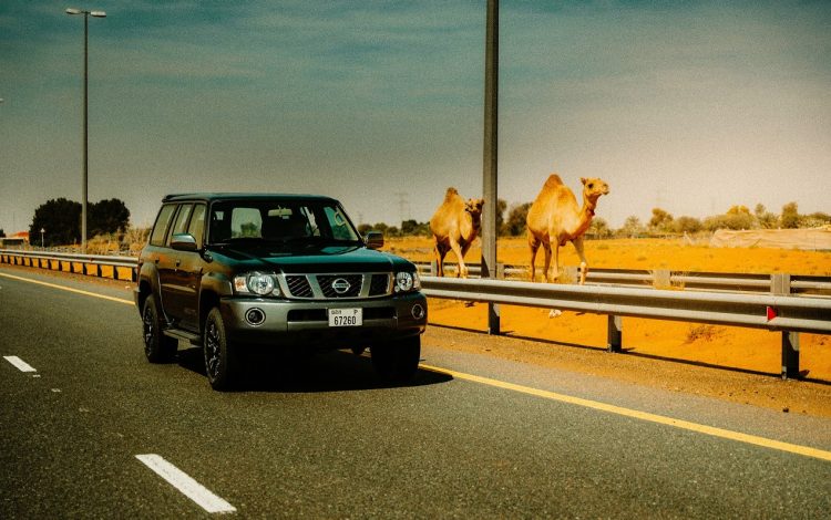 2024 Nissan Patrol Super Safari – Al Ostoura Edition (2)