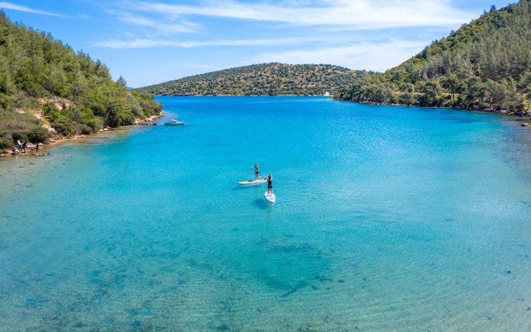 Forested areas and marvellous bays 2