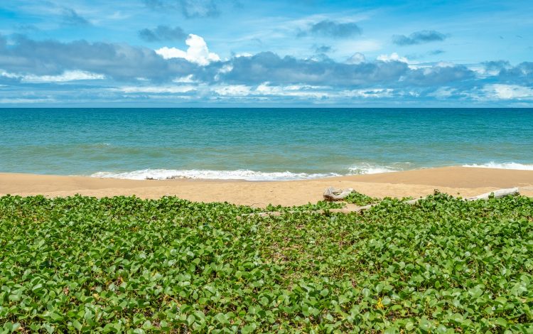 Signature_Images_6-amazing surrounding
