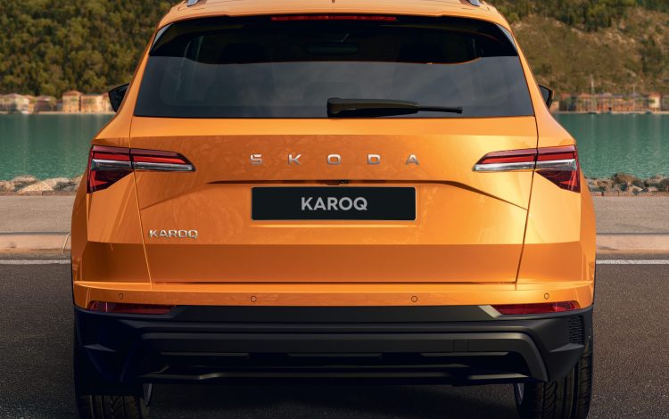 Skoda KAROQ 2025 (8)