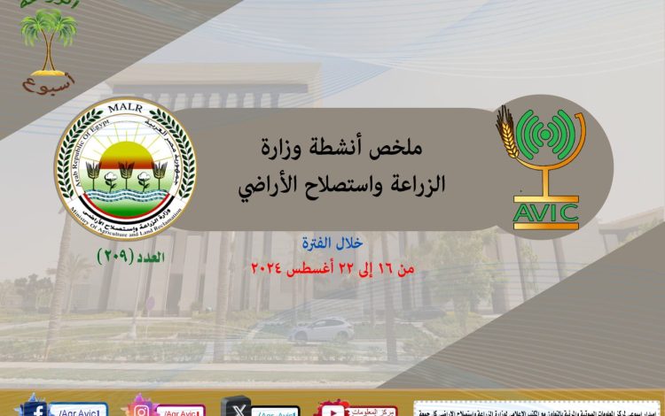 سشلسسيش