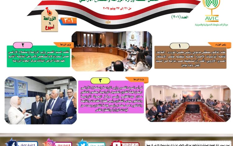 سشليسش