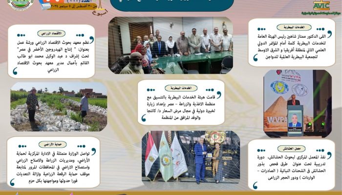 سشيشسسشي