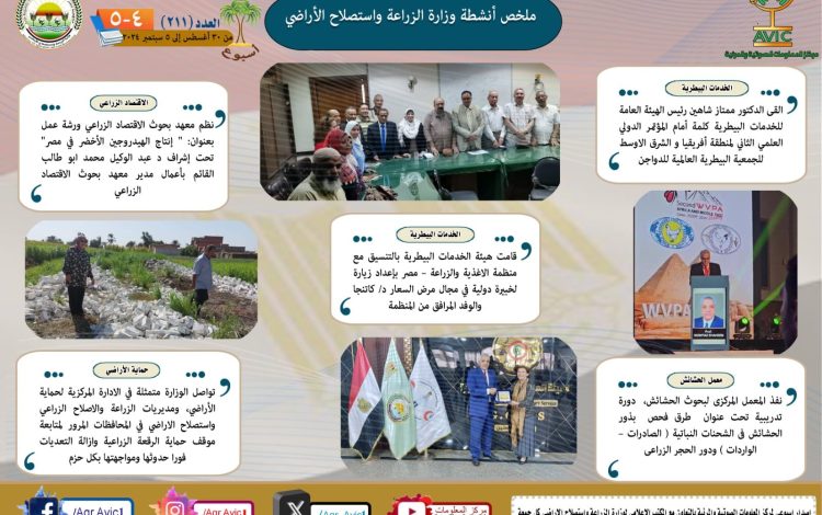 سشيشسسشي
