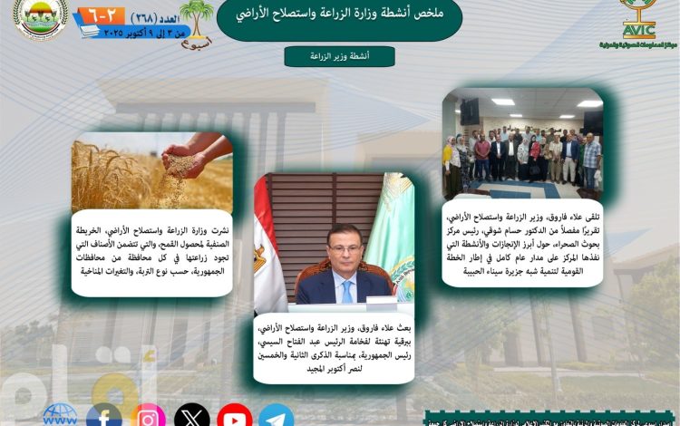 سشيلشيسلس
