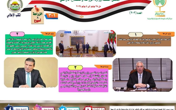 سلسشسيشسي