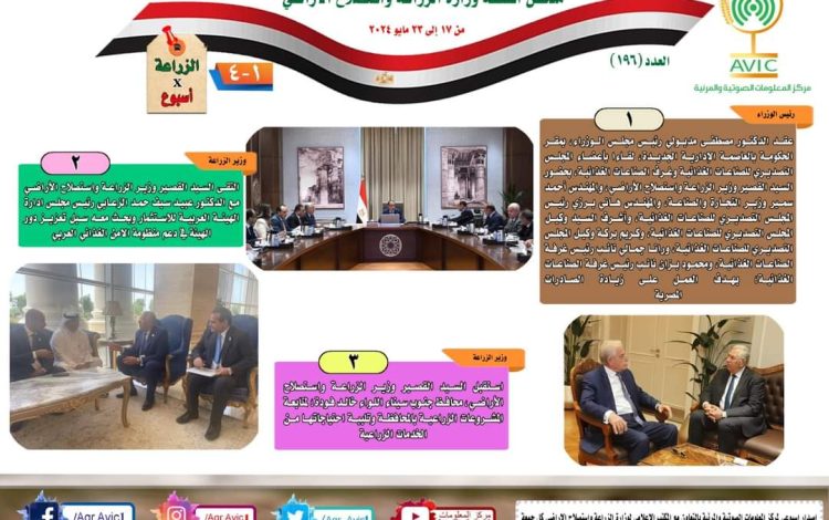 سلسشيلش