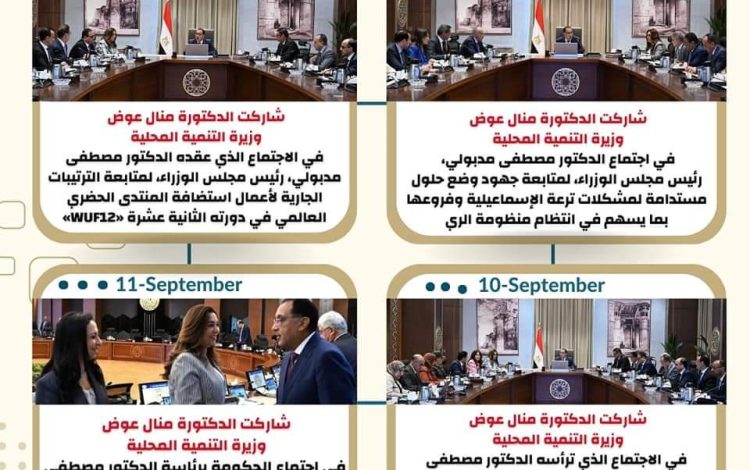 سلسيشسشي
