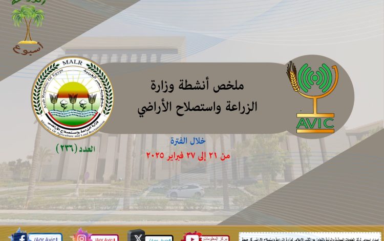 سلسيشيسش