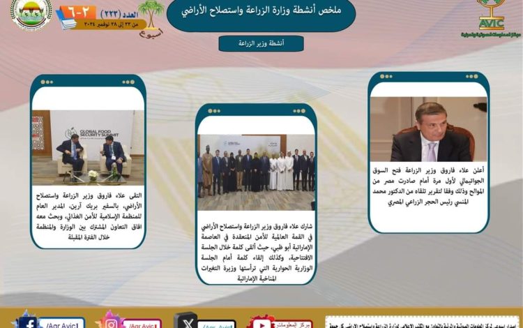 سيايسبيسبا