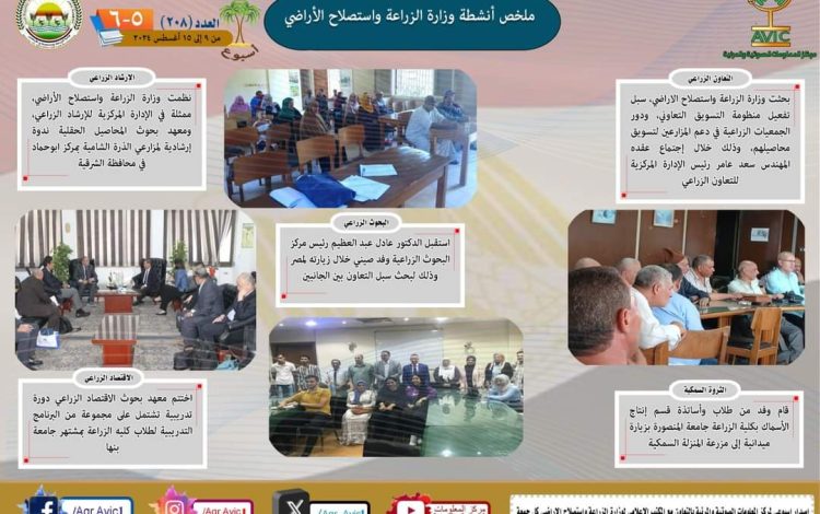 سيبيبايبا