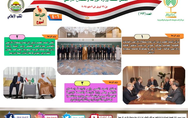 سيسشليشسل