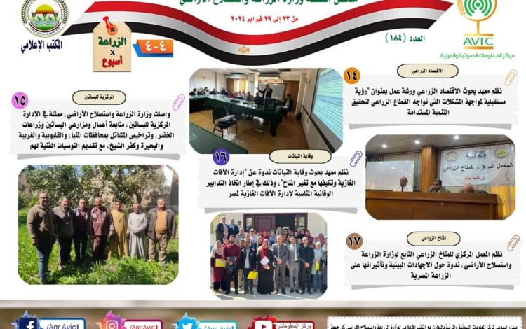 سيسليس