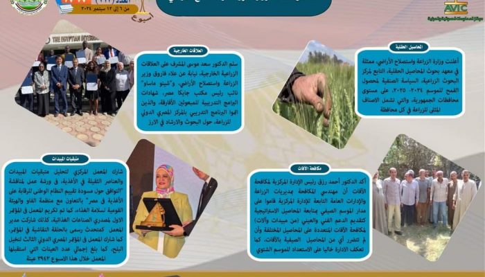 سيلسشل