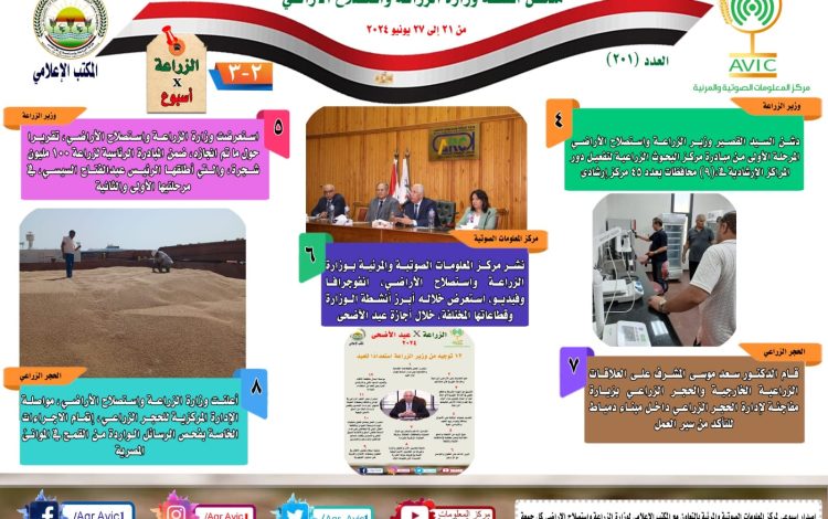 شسسيس