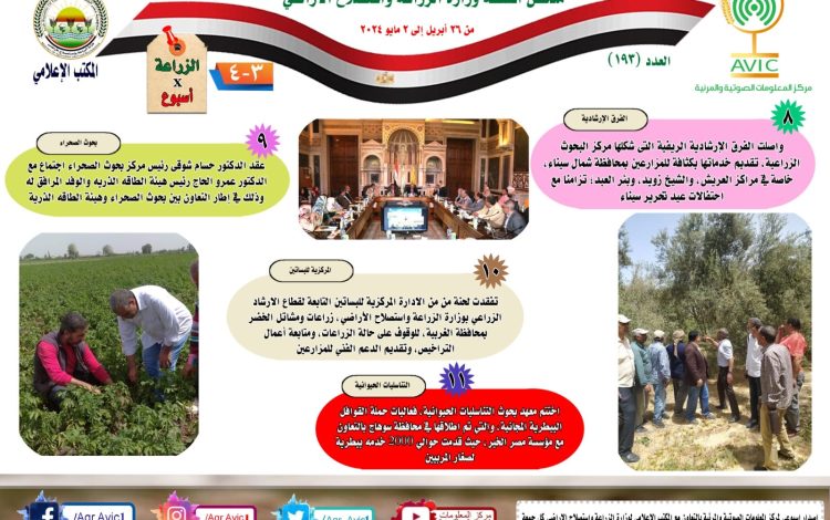 شسلسيش
