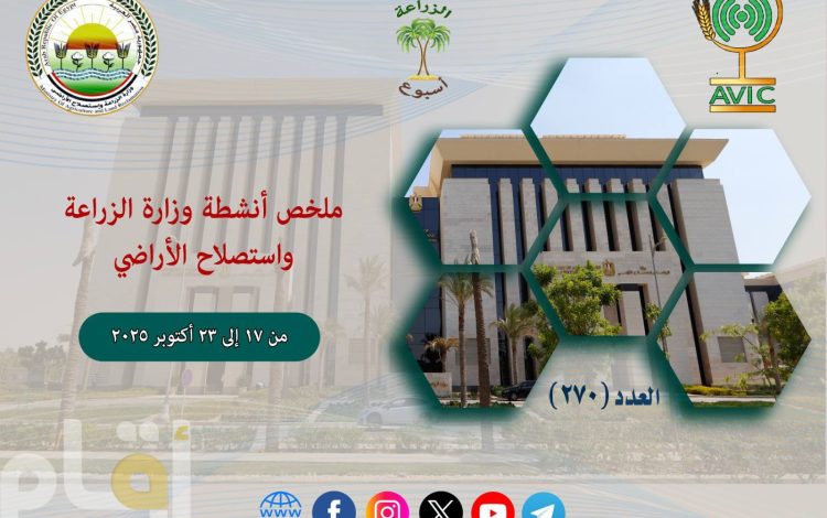 شسلشسيسي