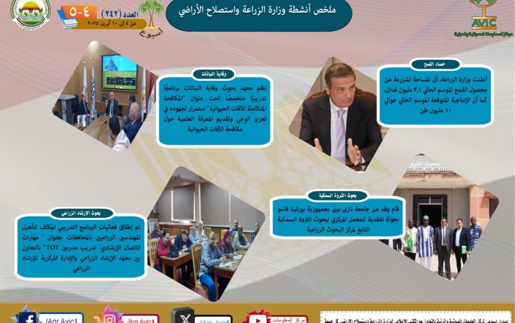 شسيلسشيلشسي