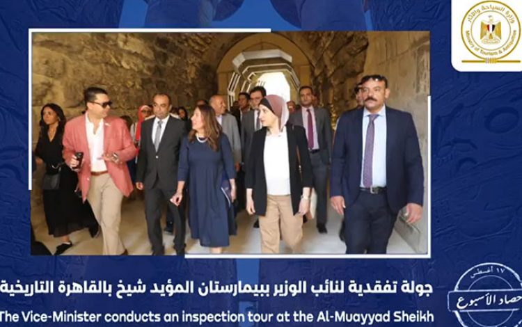 شسيلشسلشس