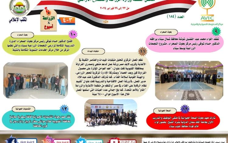 شلشسلسشي