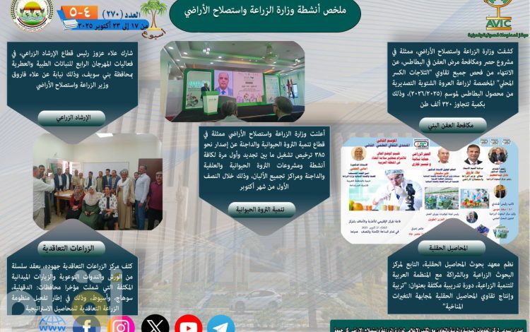 شليشسس