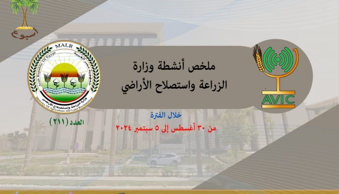 شيسشسيلشسي