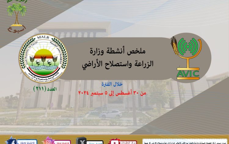 شيسشسيلشسي