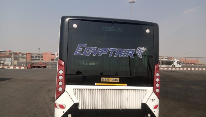 شيسلسشلشسيل