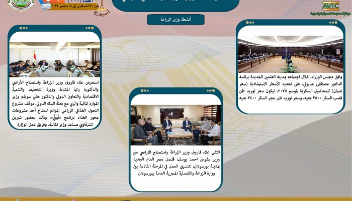 صيبسي