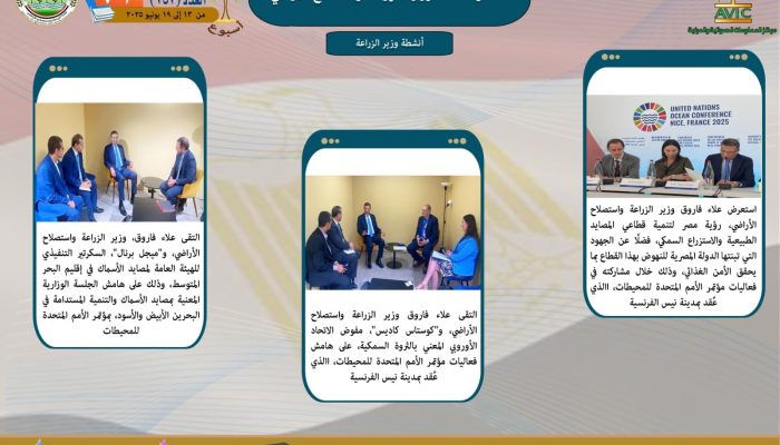 لسشلسلشسي