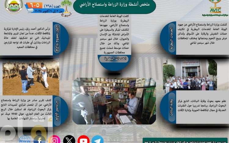 لسشيشسس