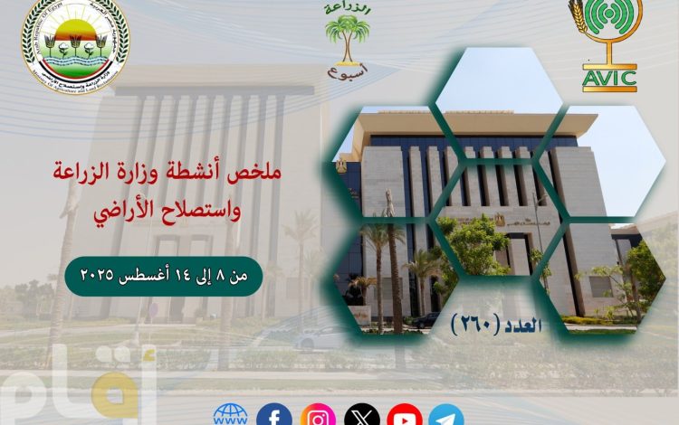 لشي