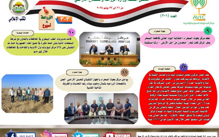 ليشسشليسشل