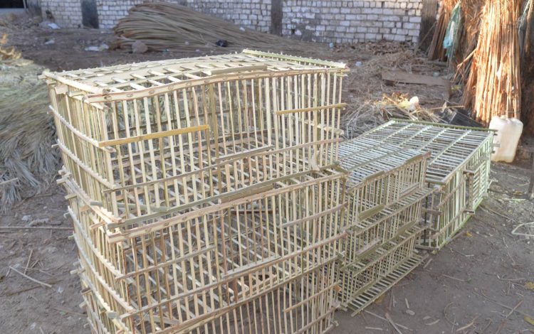 محافظ أسيوط يتفقد ورشة لتصنيع أقفاص من جريد النخيل بمركز ساحل سليم (8)